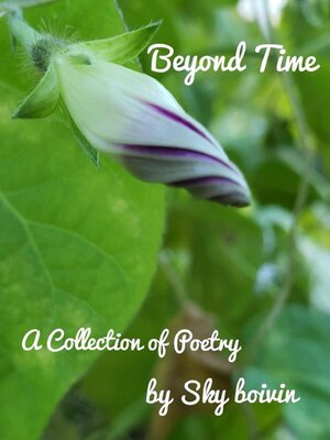 cover image of Beyond Time